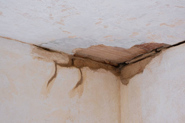 Best Professional water damage repair  in Hurstbourne, KY