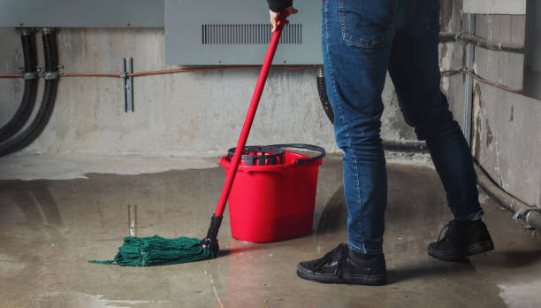 Best Ceiling water damage repair  in Hurstbourne, KY
