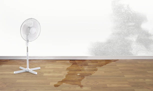 Best Water damage contractors near me  in Hurstbourne, KY