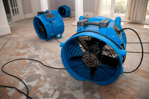 Best Local water damage restoration  in Hurstbourne, KY