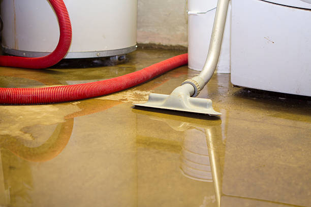 Best Commercial water damage restoration  in Hurstbourne, KY