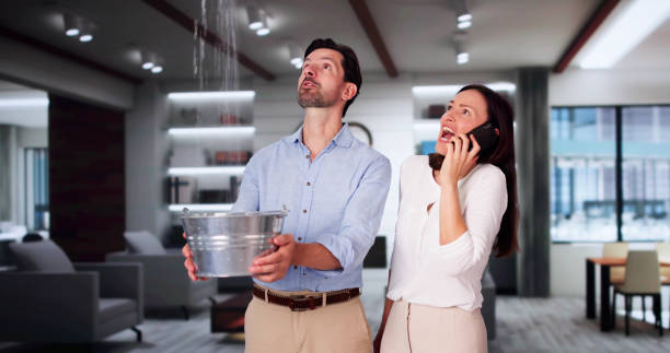 Best Ceiling water damage repair  in Hurstbourne, KY